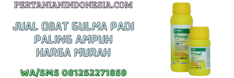 jual,murah,terjangkau,toko pertanian terdekat,pertanian indonesia